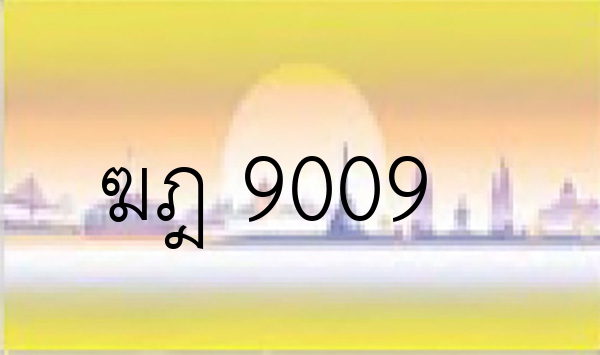 ฆฎ 9009